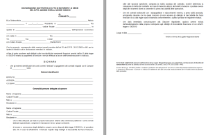 dichiarazione-di-tracciabilit-dei-flussi-finanziari-modello-word-e