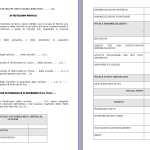 Fac simile perizia valutazione azienda