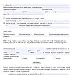 Modulo Dichiarazione di Conformità Impianto Elettrico Word e PDF Editabile