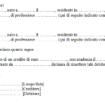 Fac Simile Remissione del Debito