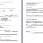 Verbale di Presa in Consegna Anticipata e Parziale