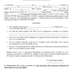 Dichiarazione Composizione Societaria Dpcm 187/91