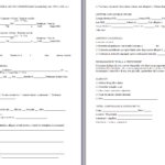 Verbale Riconsegna Immobile Commerciale