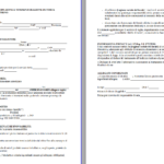 Modulo Liberatoria Torta Ristorante