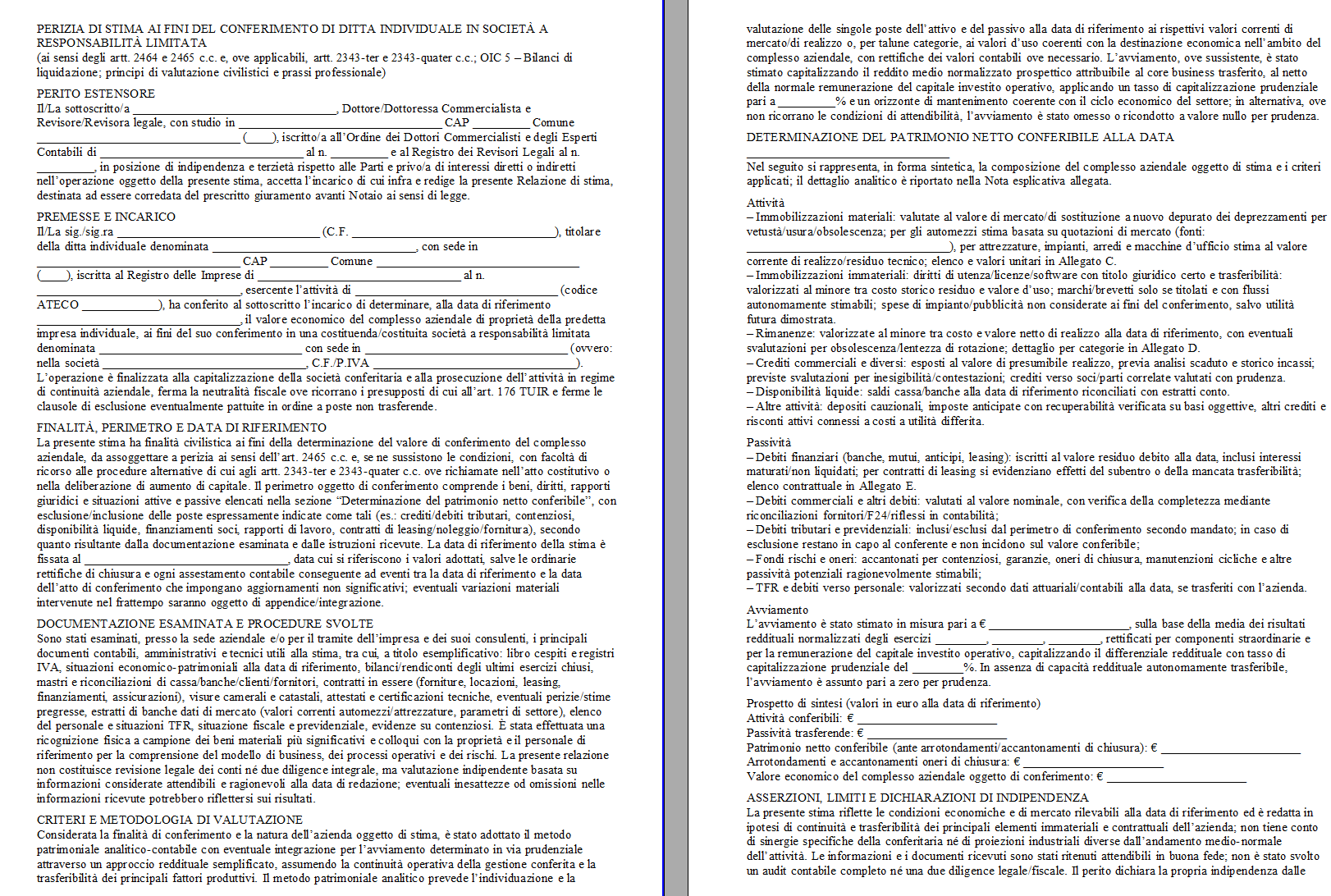 Fac Simile Perizia Conferimento Ditta Individuale in Srl