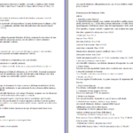 Perizia di conferimento ditta individuale in Srl